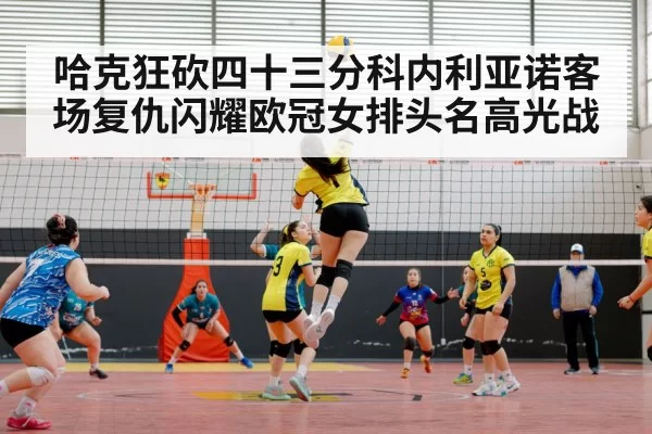 volleyball match action europe