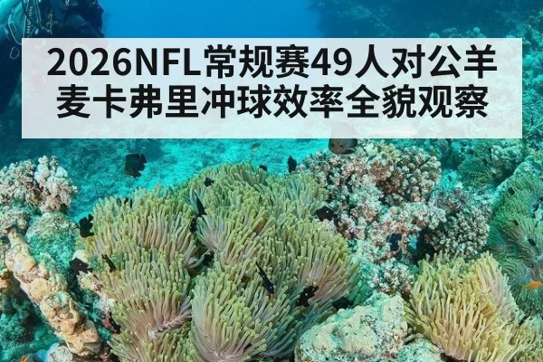 2026NFL常规赛49人对公羊麦卡弗里冲球效率全貌观察
